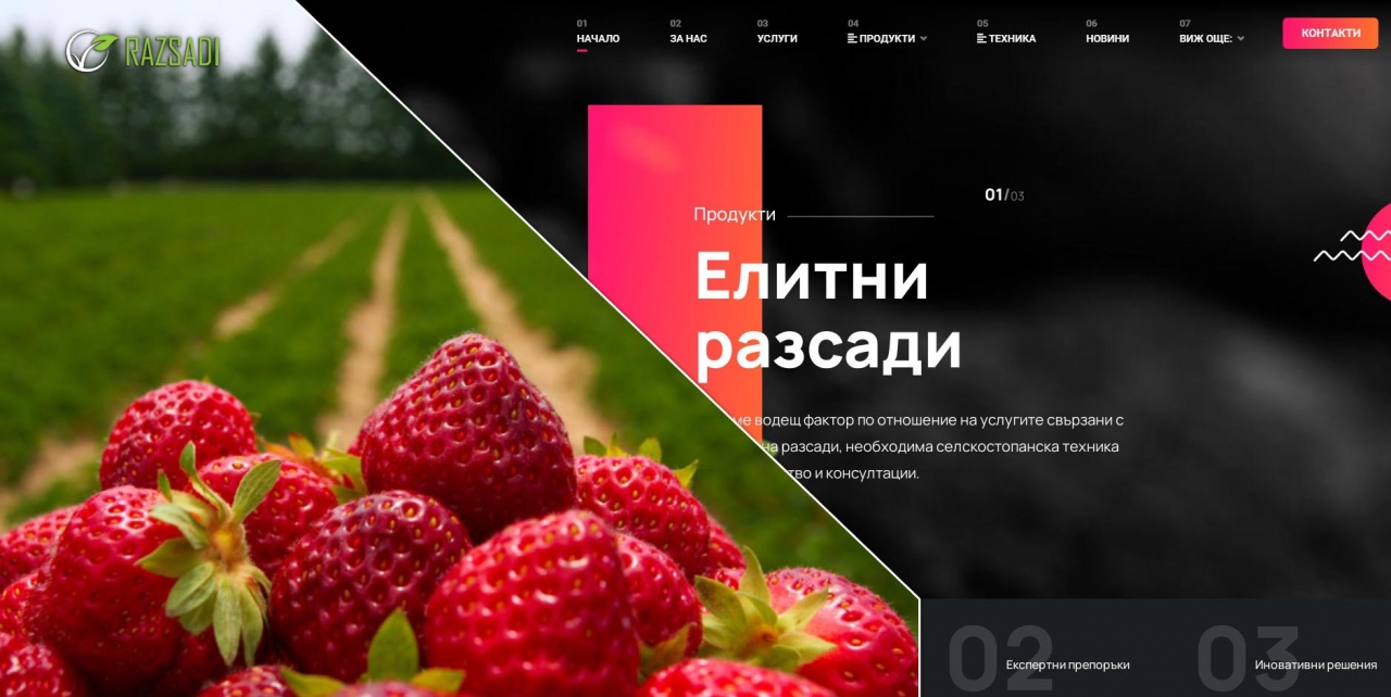 Късни сортове ягоди и тяхното предимство